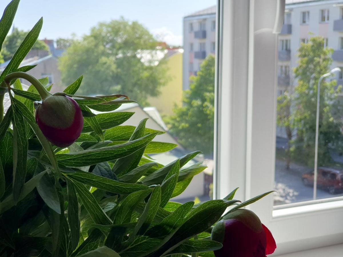 Appartement Square Side